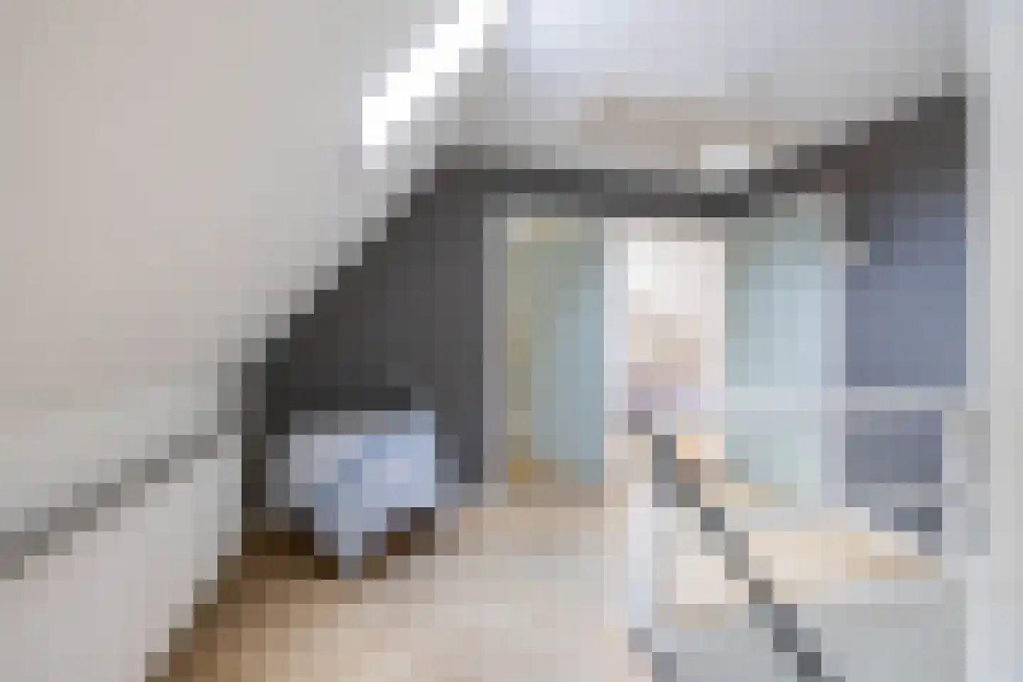 Westerstraat 5 Vries thumbnail 36