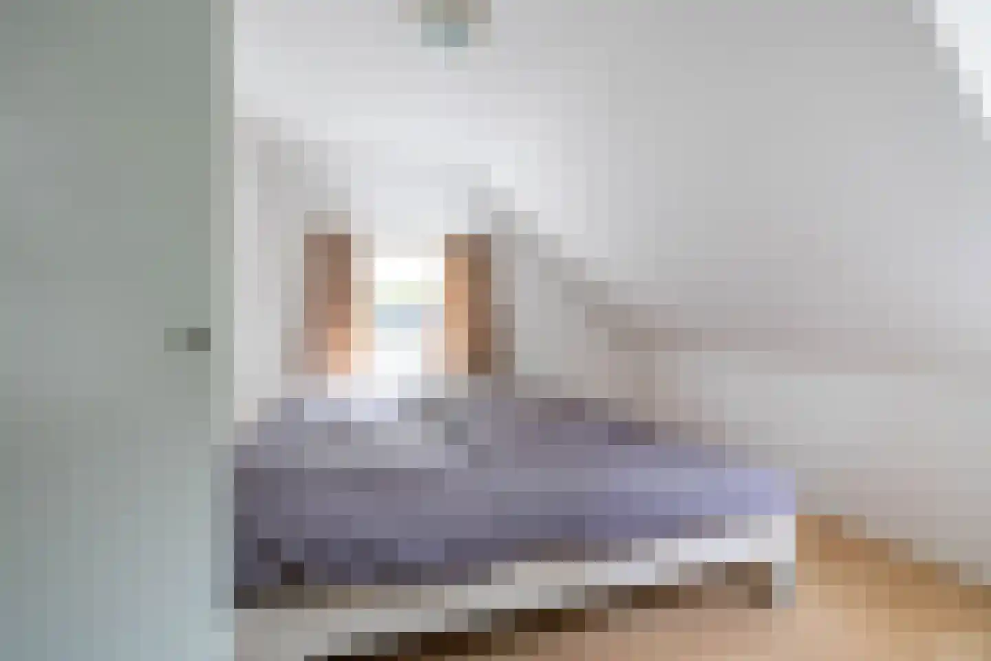 Westerstraat 5 Vries thumbnail 37