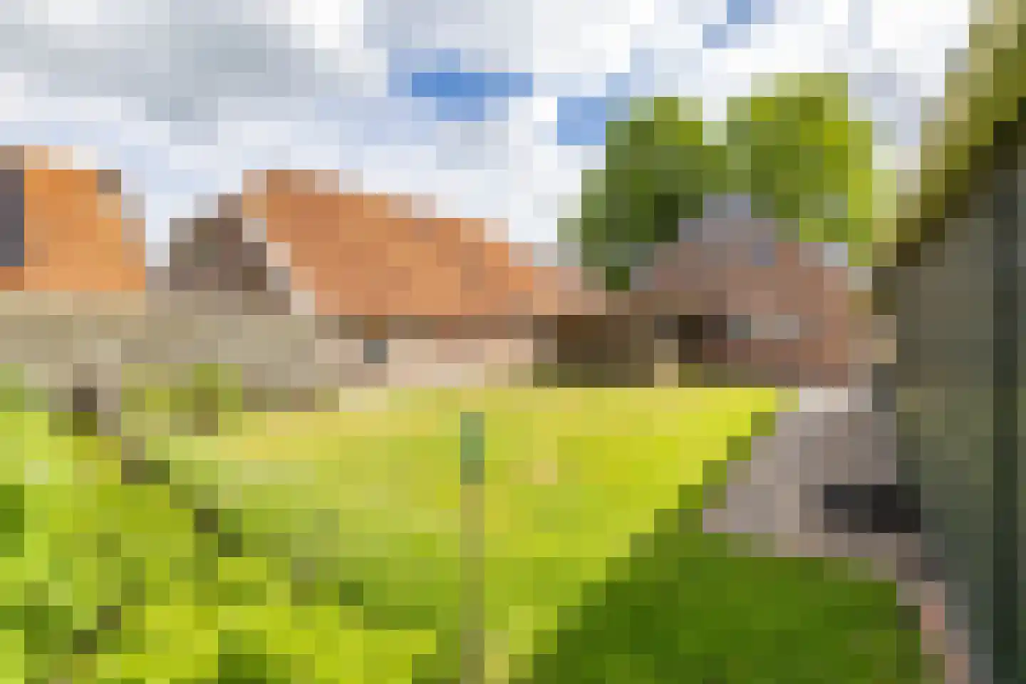 Westerstraat 5 Vries thumbnail 4