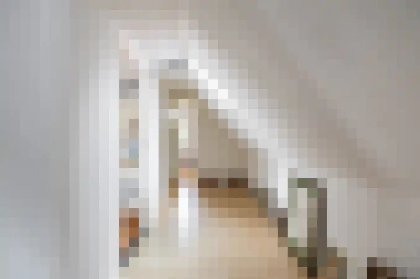 Westerstraat 5 Vries thumbnail 40