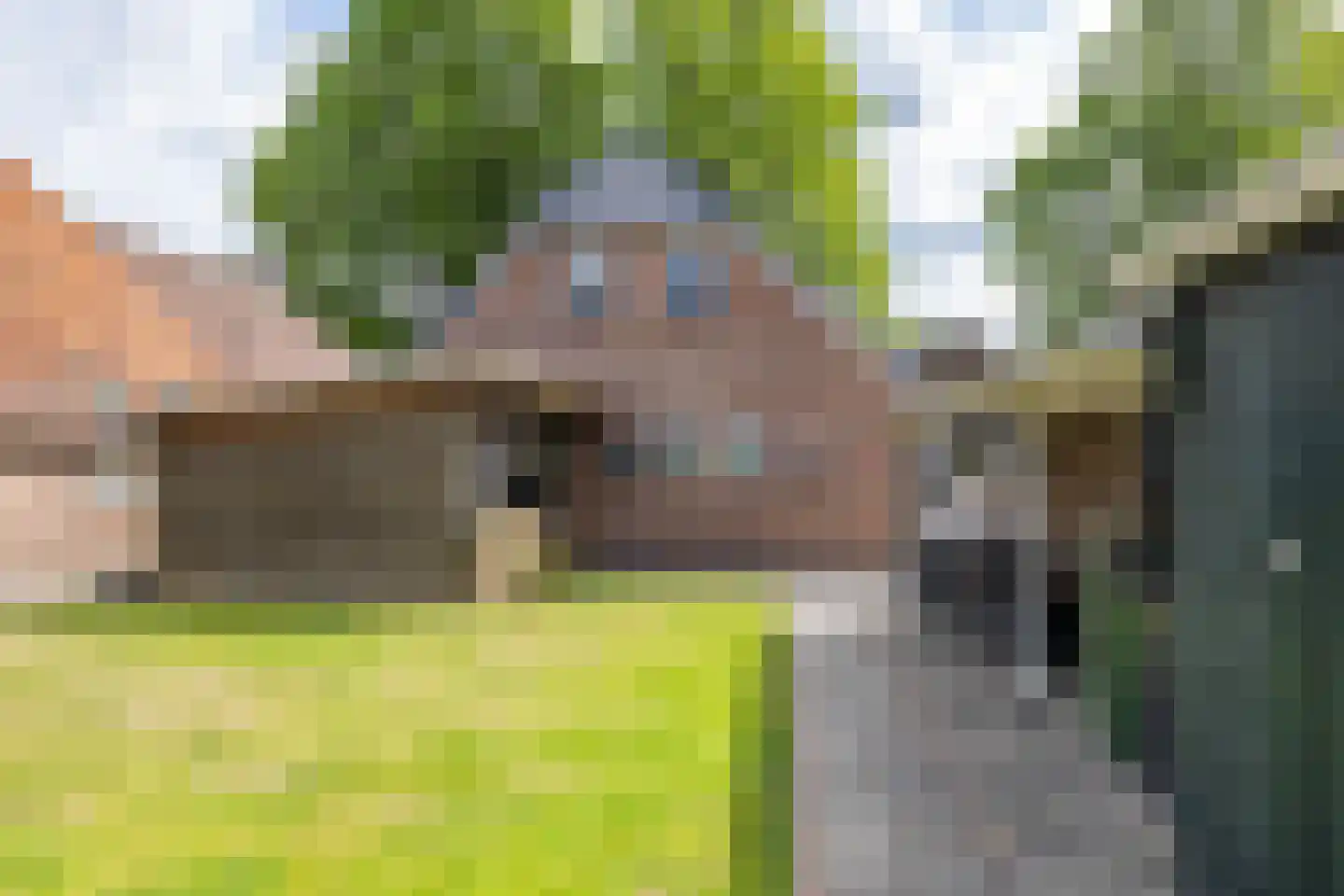 Westerstraat 5 Vries thumbnail 49