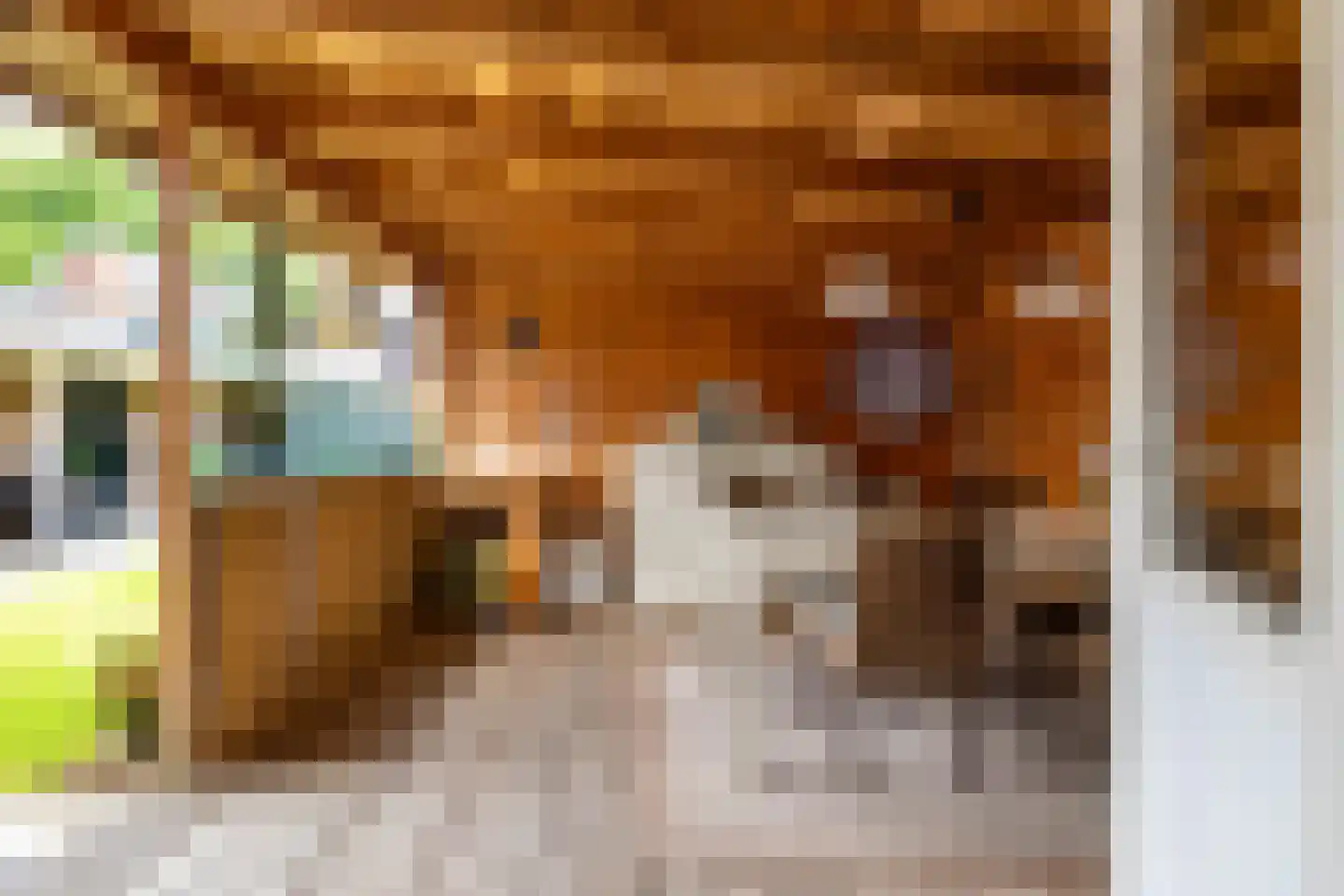 Westerstraat 5 Vries thumbnail 51