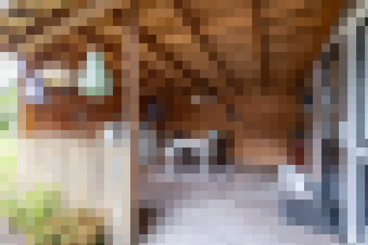Westerstraat 5 Vries thumbnail 52