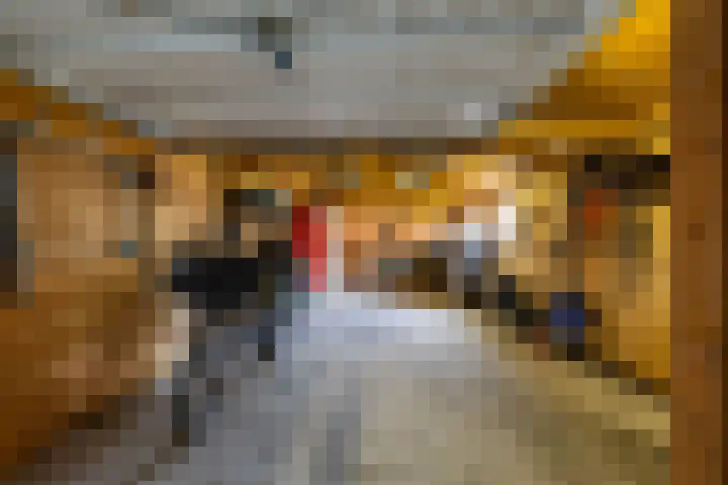 Westerstraat 5 Vries thumbnail 54