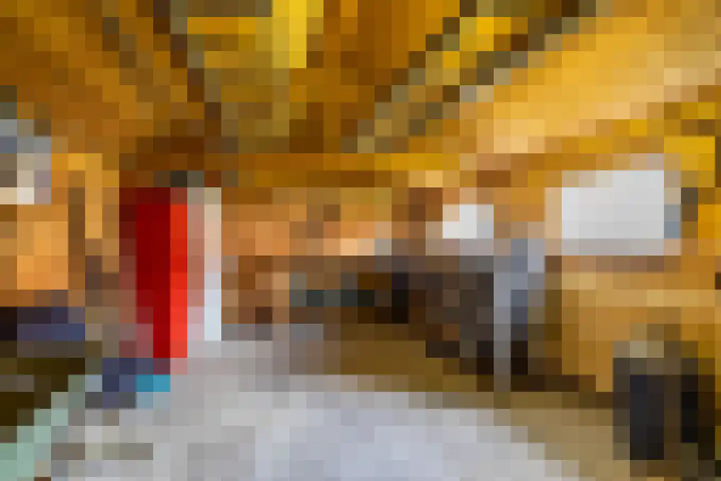 Westerstraat 5 Vries thumbnail 55
