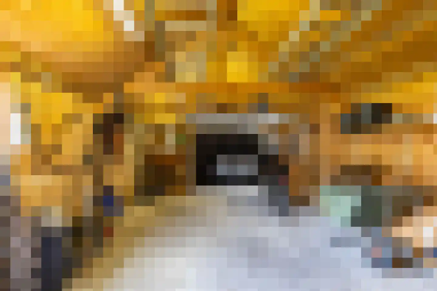 Westerstraat 5 Vries thumbnail 56