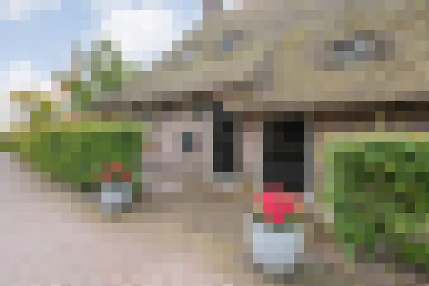 Westerstraat 55 Ruinen thumbnail 10