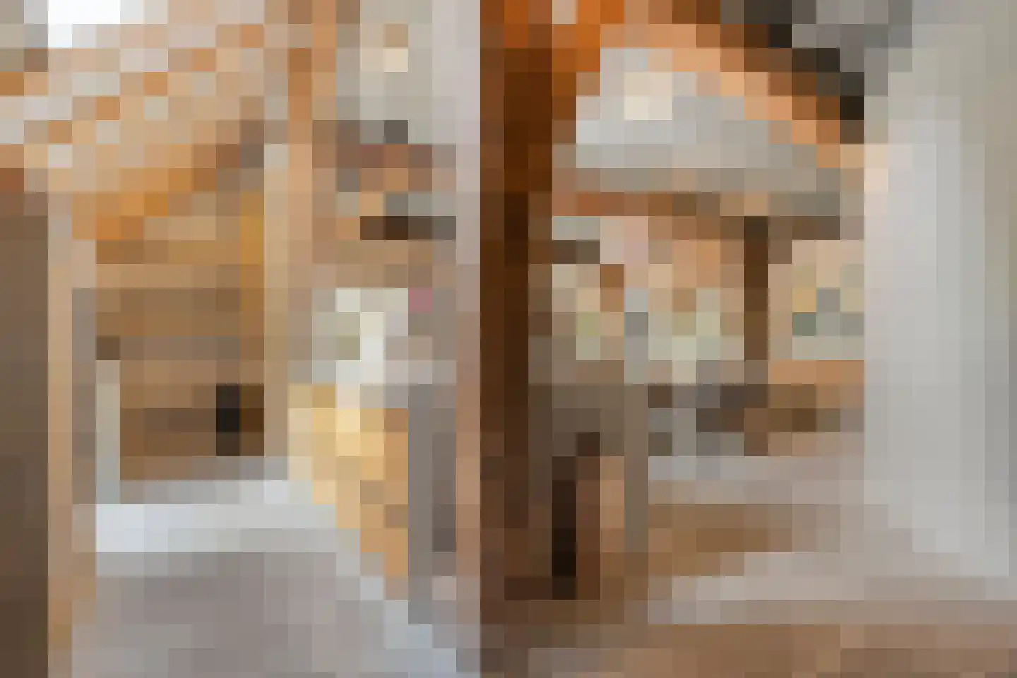 Westerstraat 55 Ruinen thumbnail 14