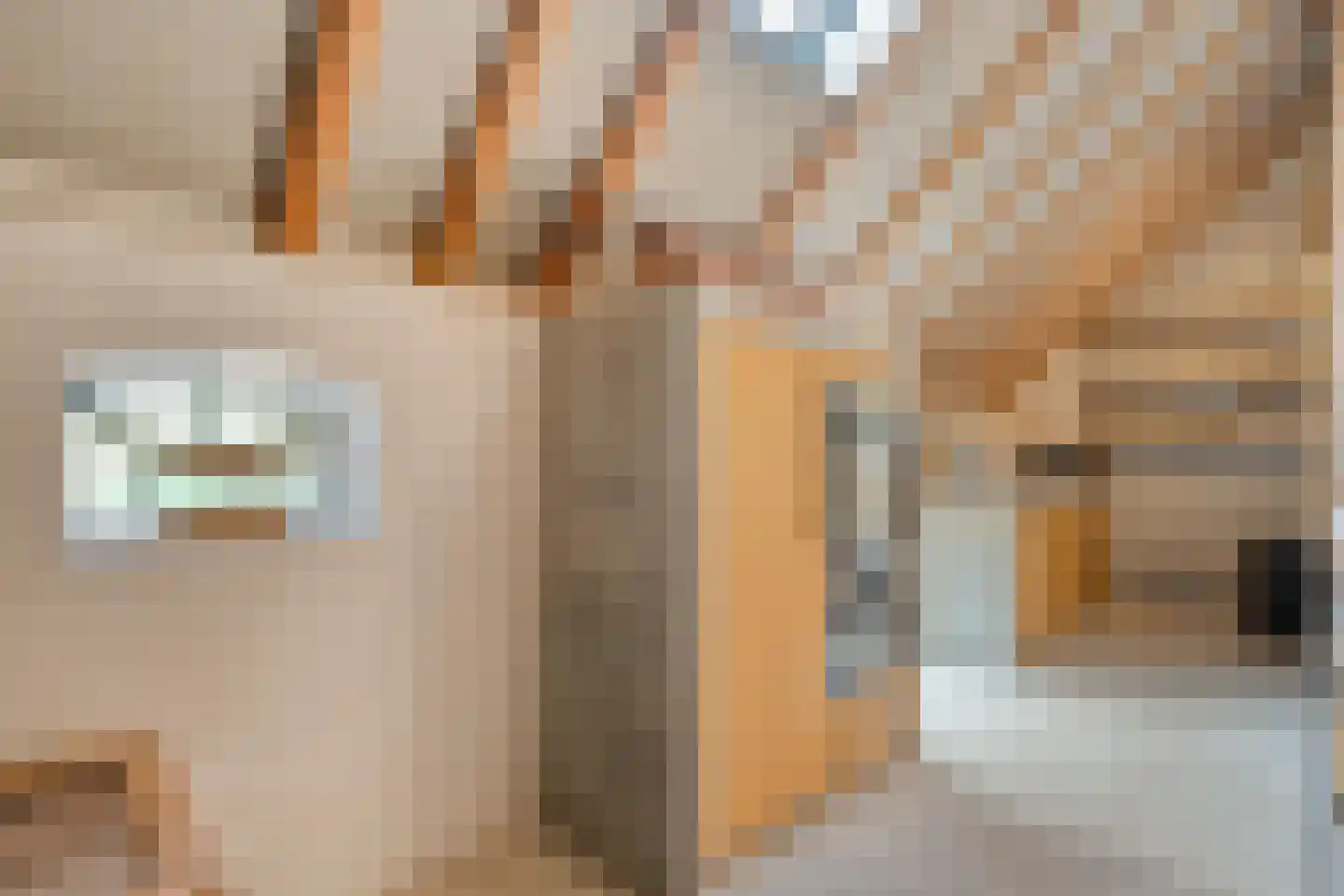 Westerstraat 55 Ruinen thumbnail 15