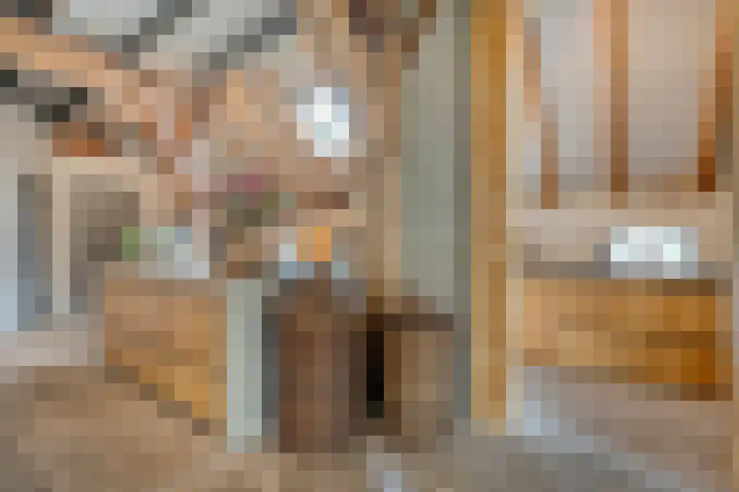Westerstraat 55 Ruinen thumbnail 16