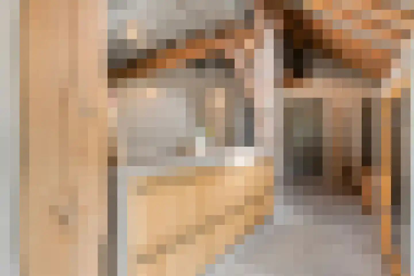 Westerstraat 55 Ruinen thumbnail 17