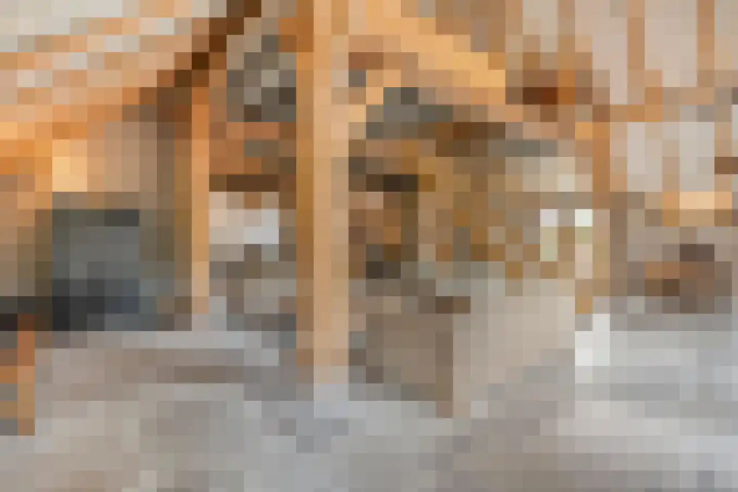 Westerstraat 55 Ruinen thumbnail 20