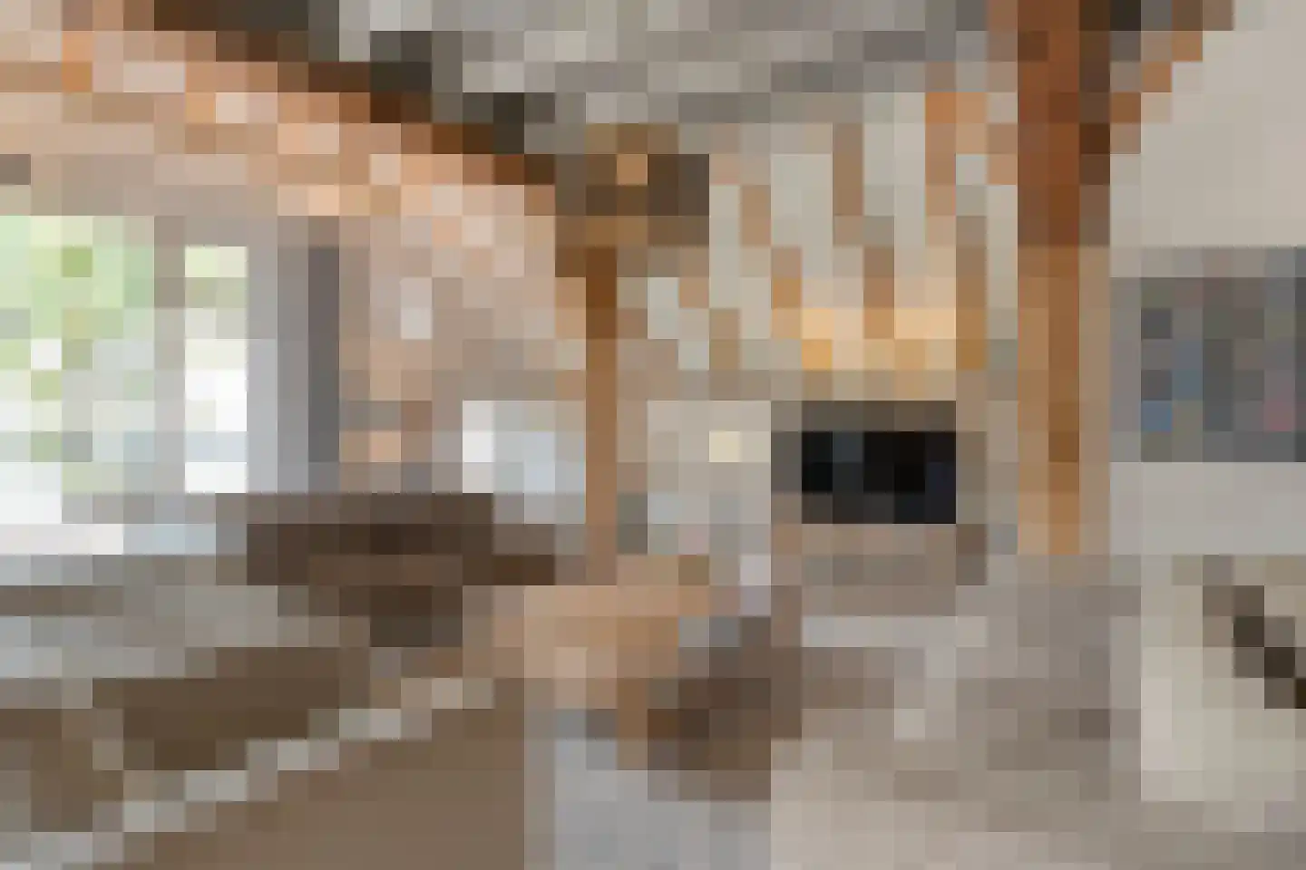 Westerstraat 55 Ruinen thumbnail 21
