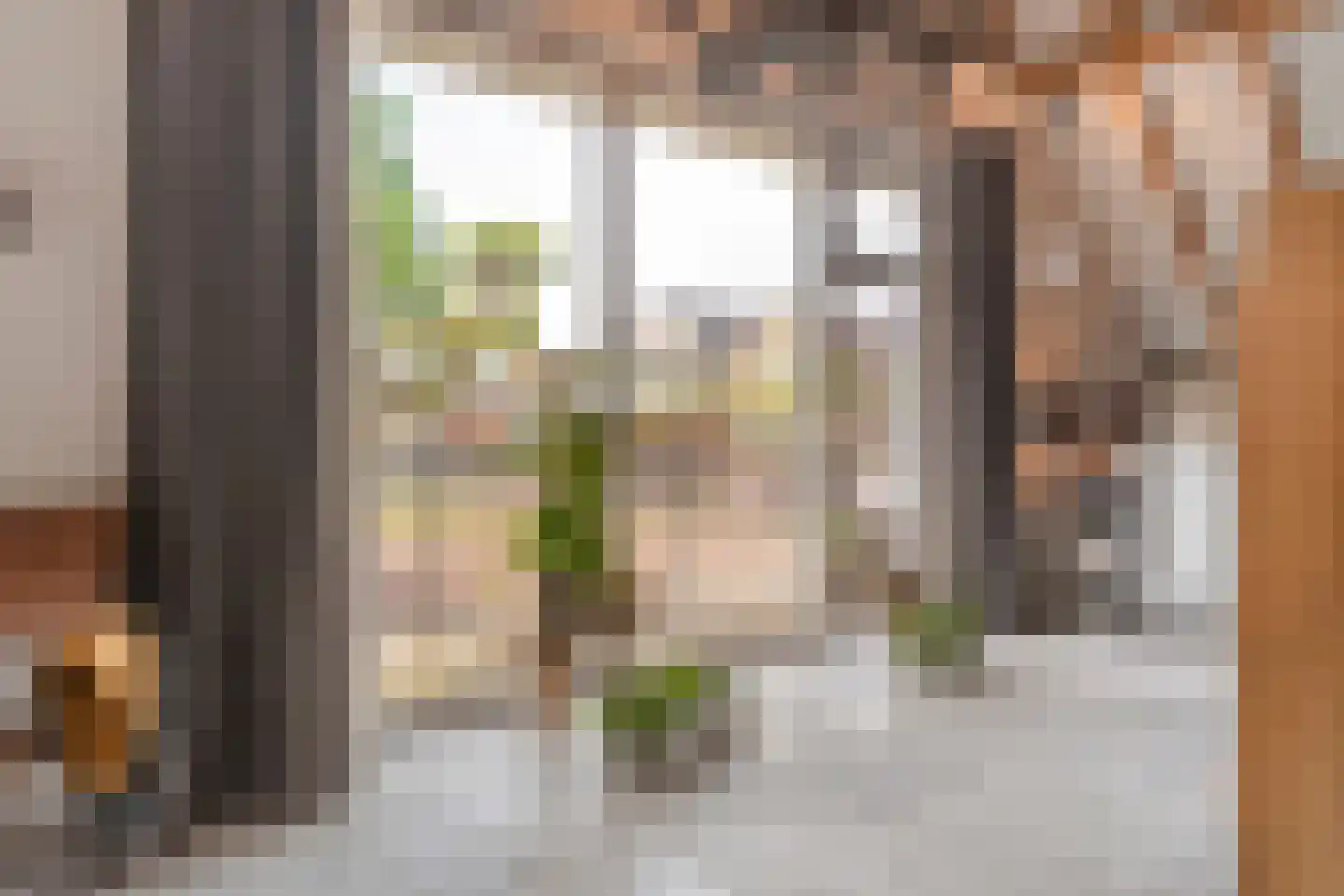 Westerstraat 55 Ruinen thumbnail 22