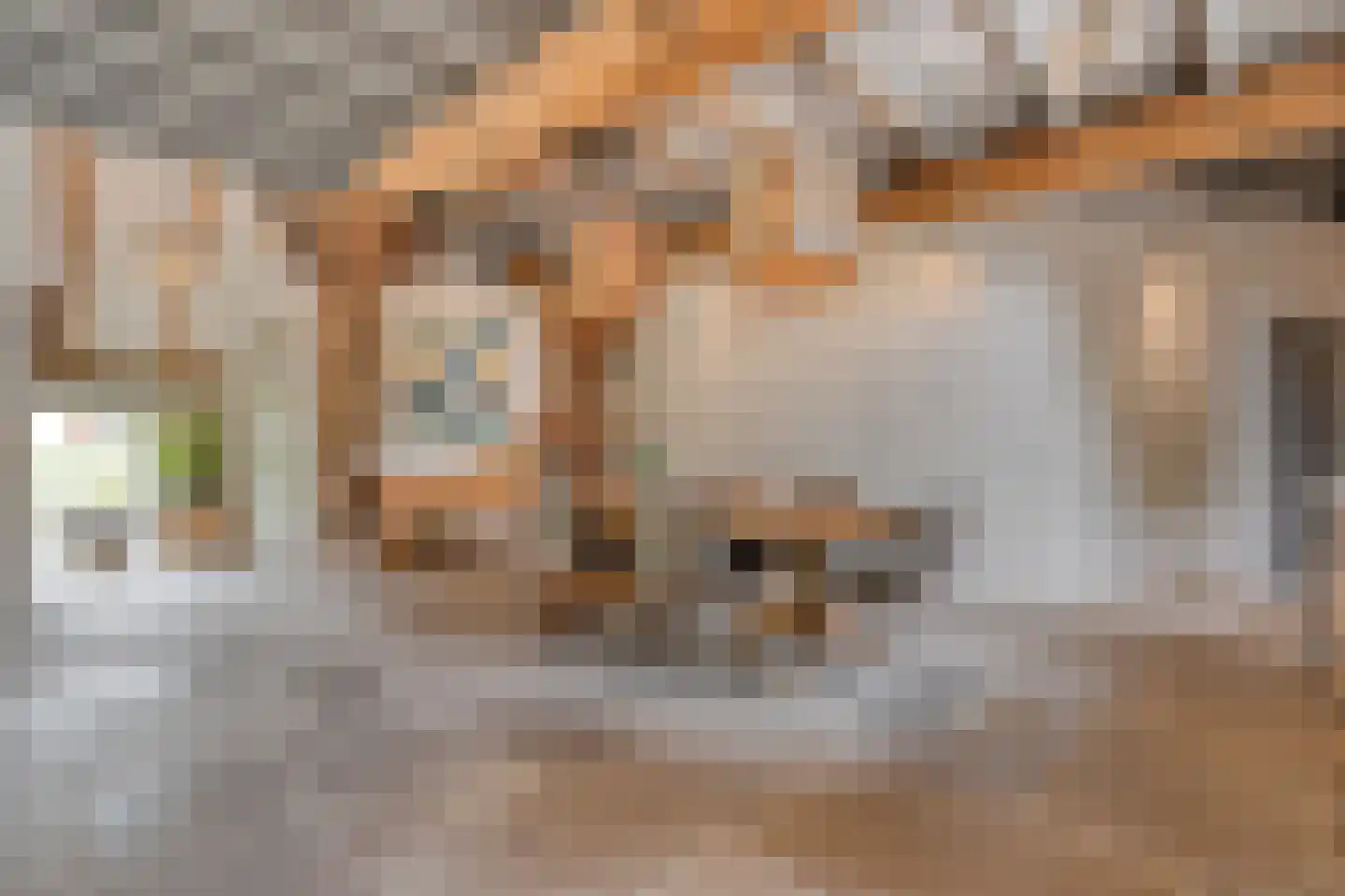 Westerstraat 55 Ruinen thumbnail 23