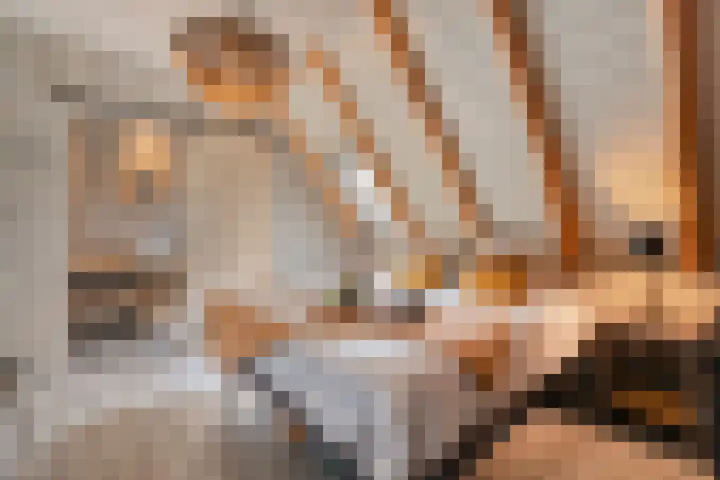 Westerstraat 55 Ruinen thumbnail 27
