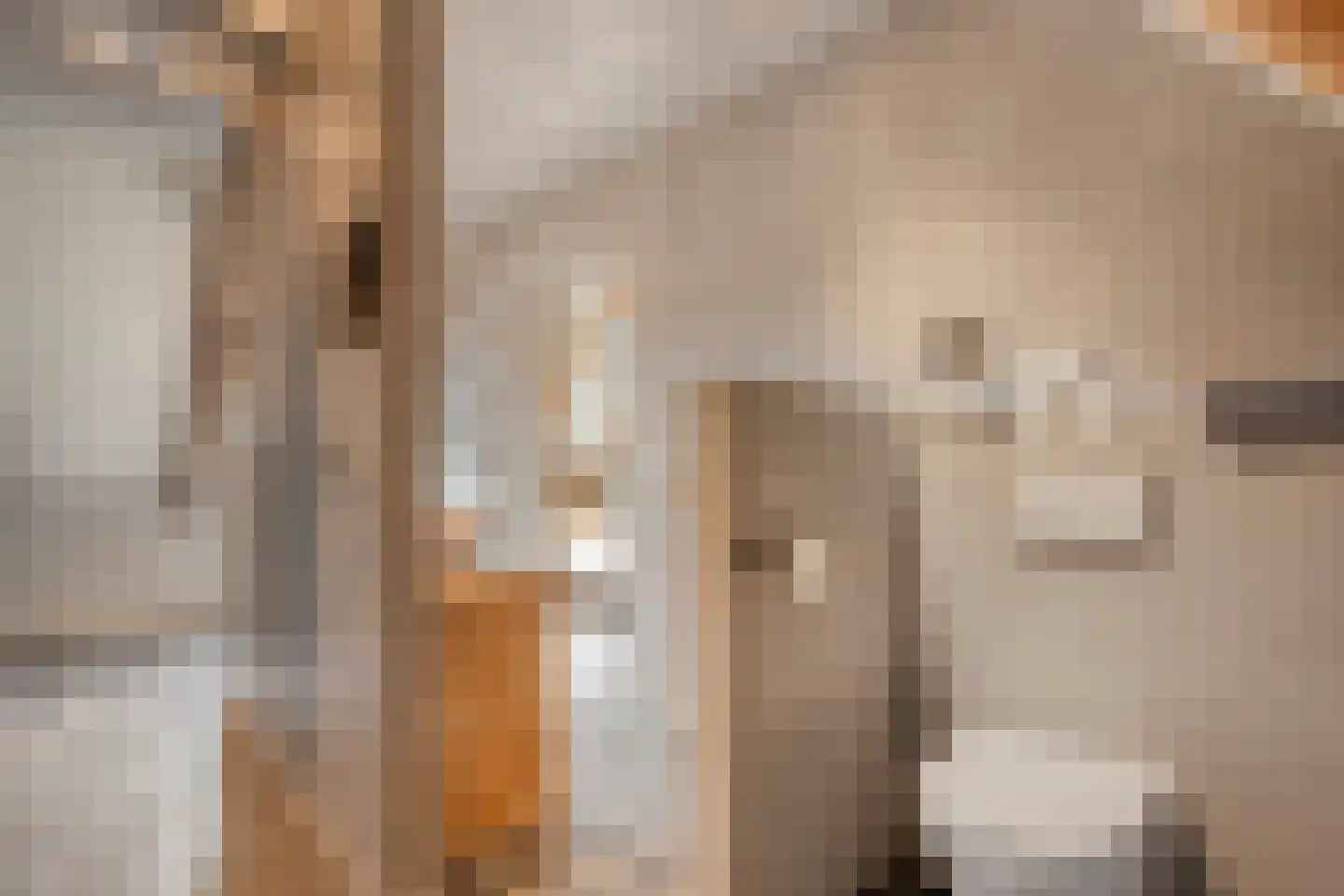 Westerstraat 55 Ruinen thumbnail 31