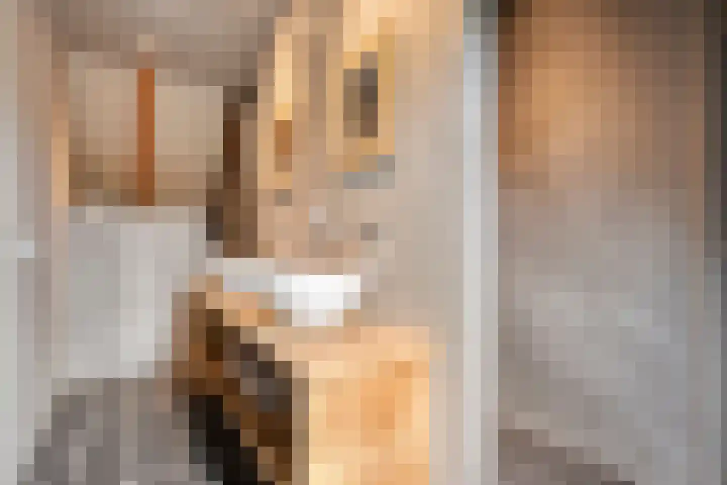 Westerstraat 55 Ruinen thumbnail 33