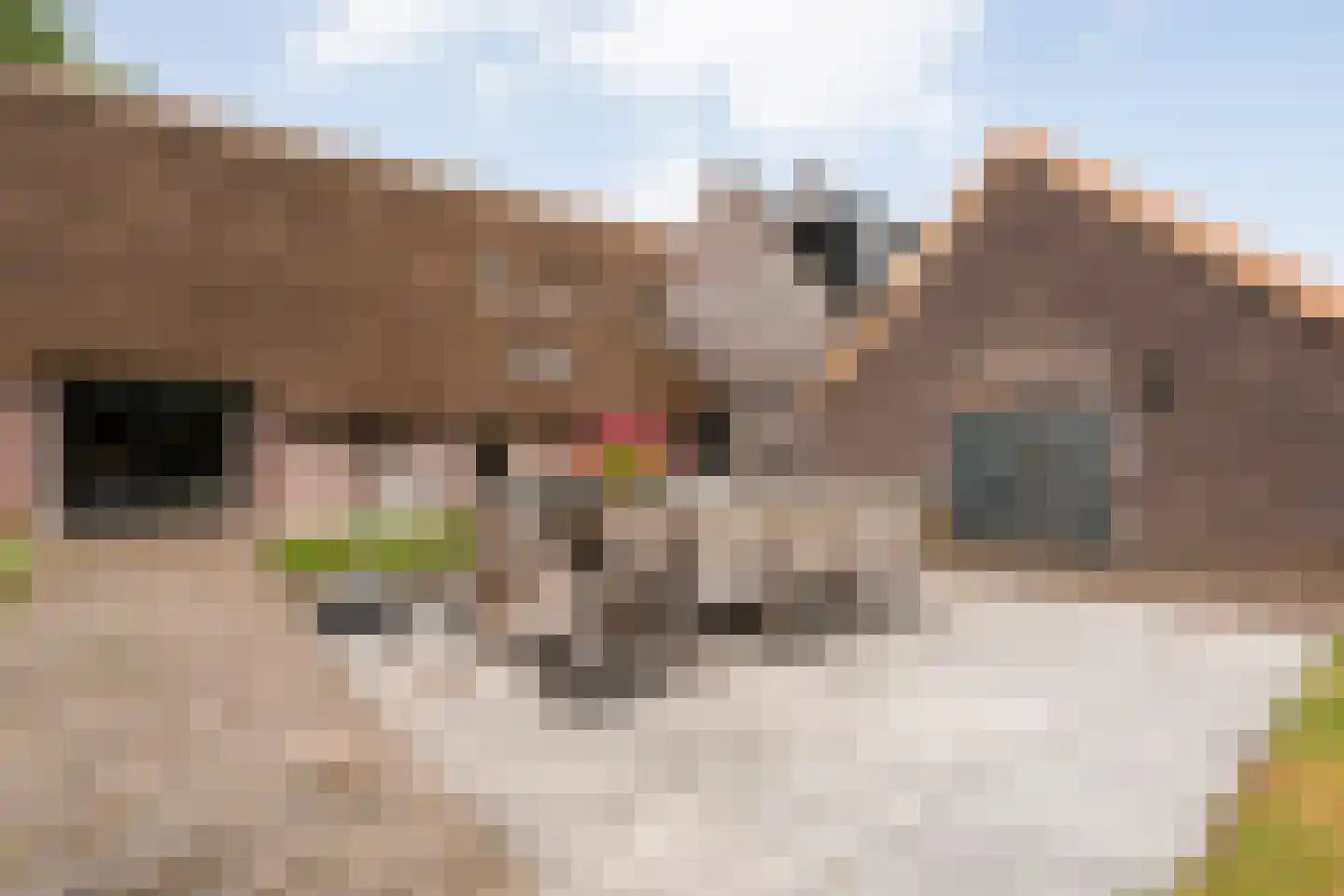 Westerstraat 55 Ruinen thumbnail 36