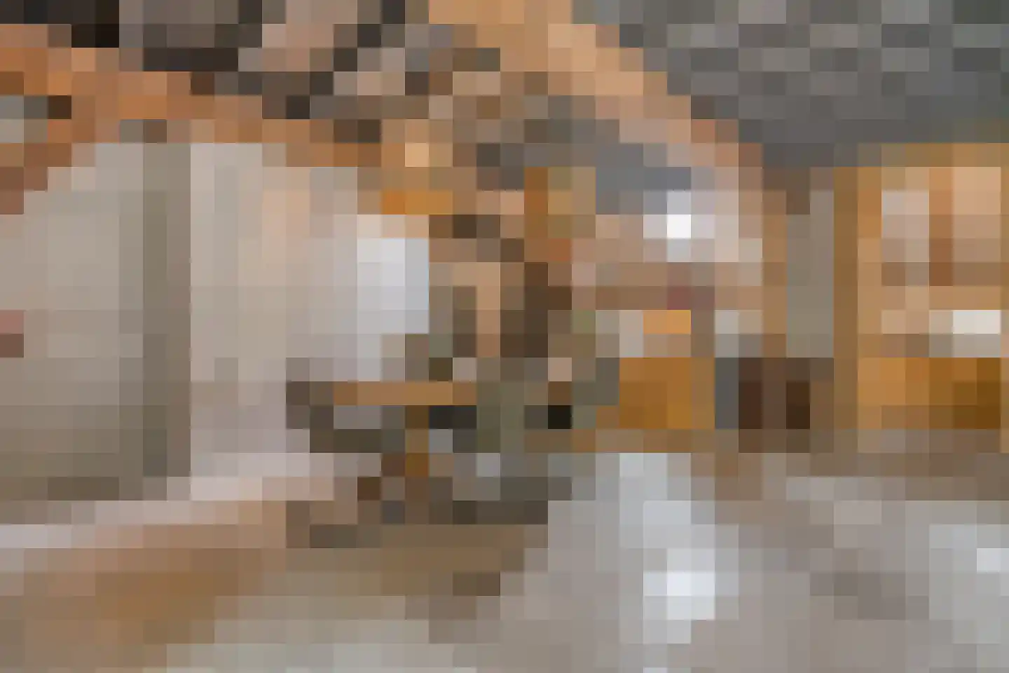 Westerstraat 55 Ruinen thumbnail 4