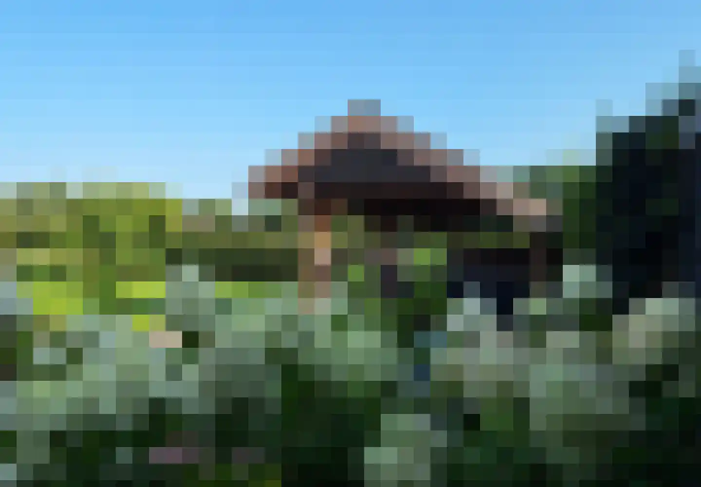 Westerstraat 55 Ruinen thumbnail 43