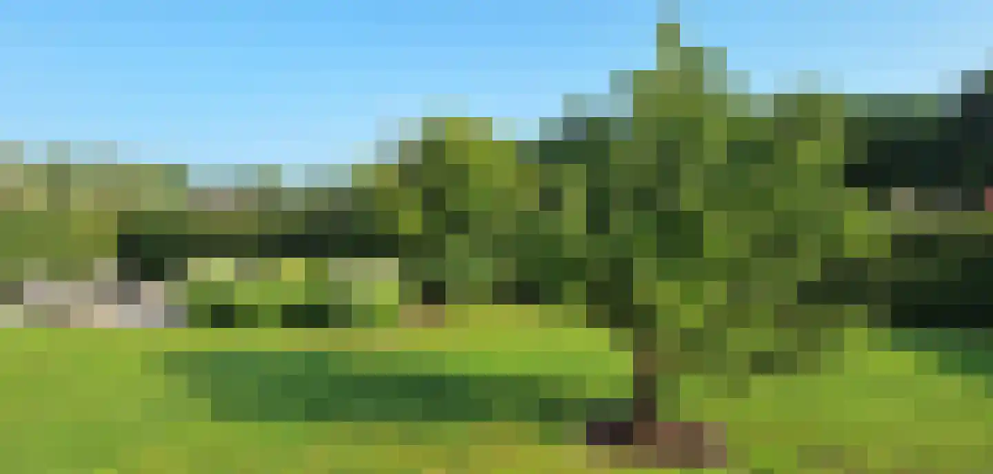 Westerstraat 55 Ruinen thumbnail 47