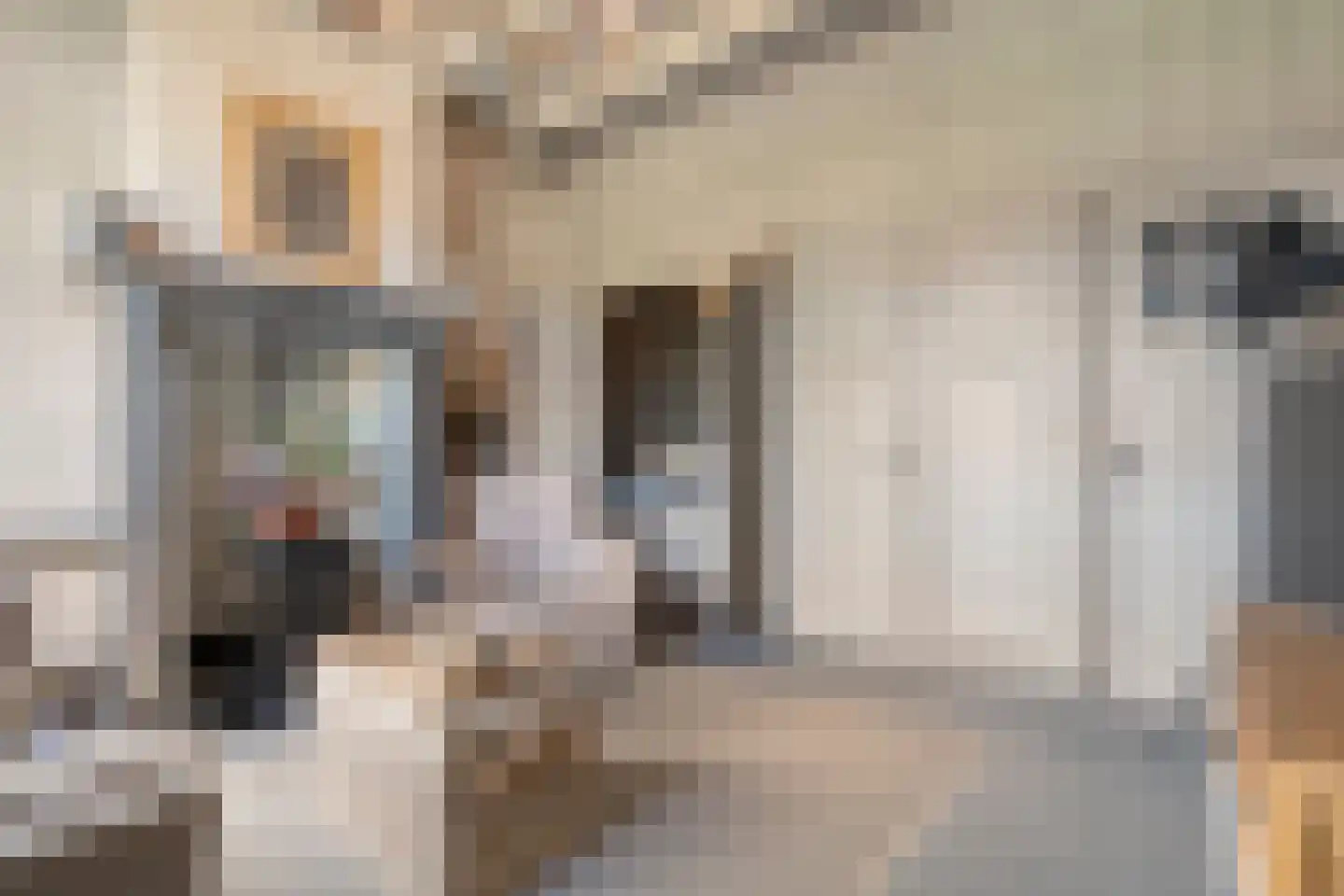 Westerstraat 55 Ruinen thumbnail 49