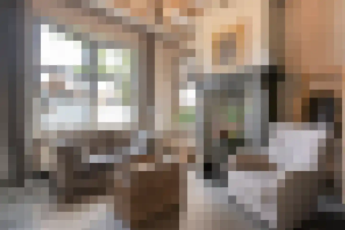 Westerstraat 55 Ruinen thumbnail 50