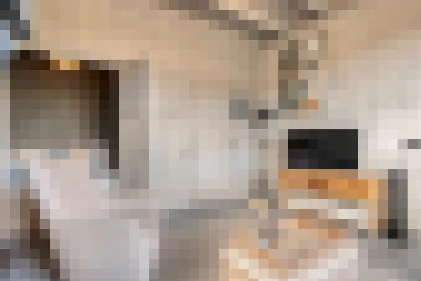 Westerstraat 55 Ruinen thumbnail 51