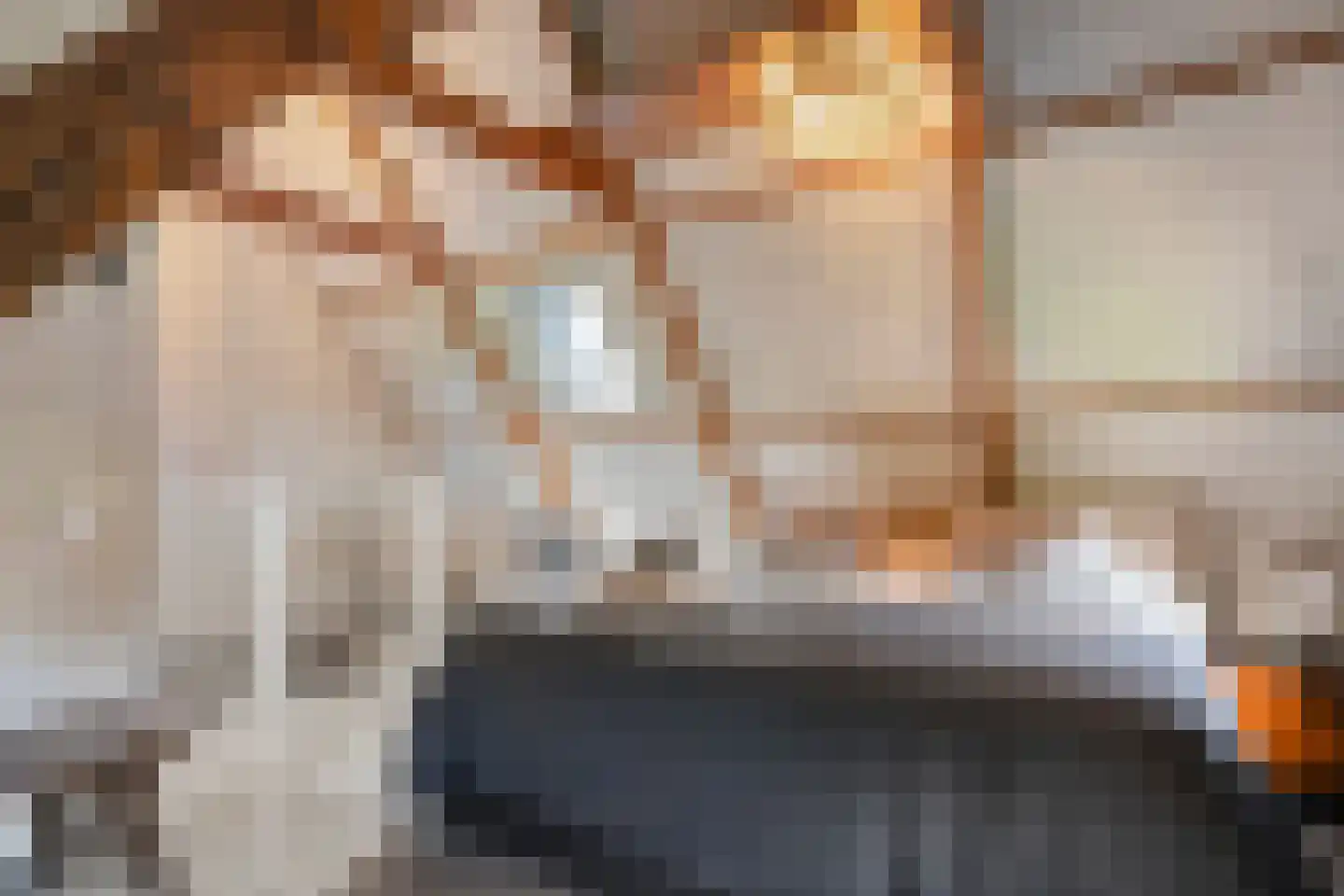Westerstraat 55 Ruinen thumbnail 52