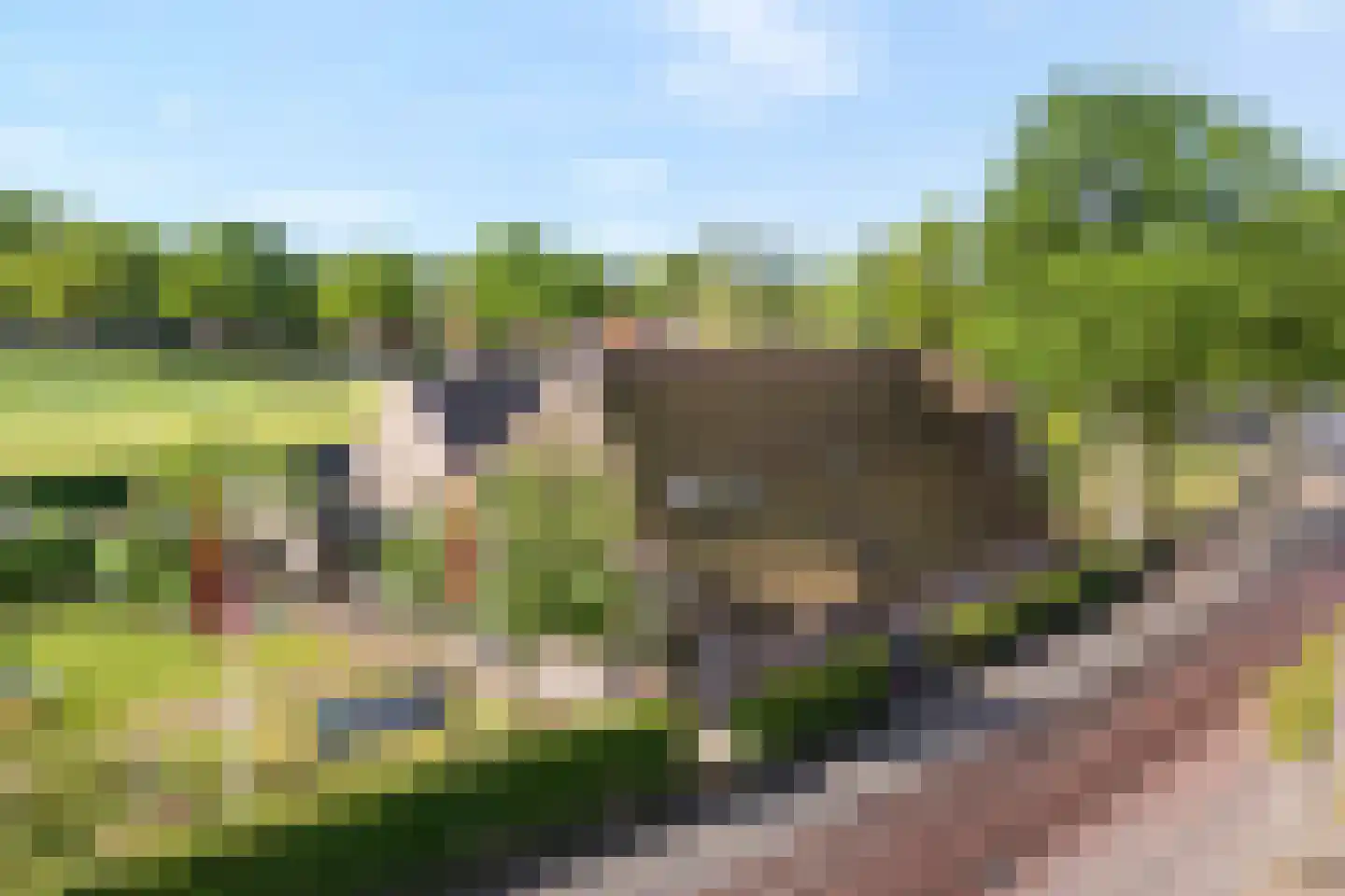 Westerstraat 55 Ruinen thumbnail 6