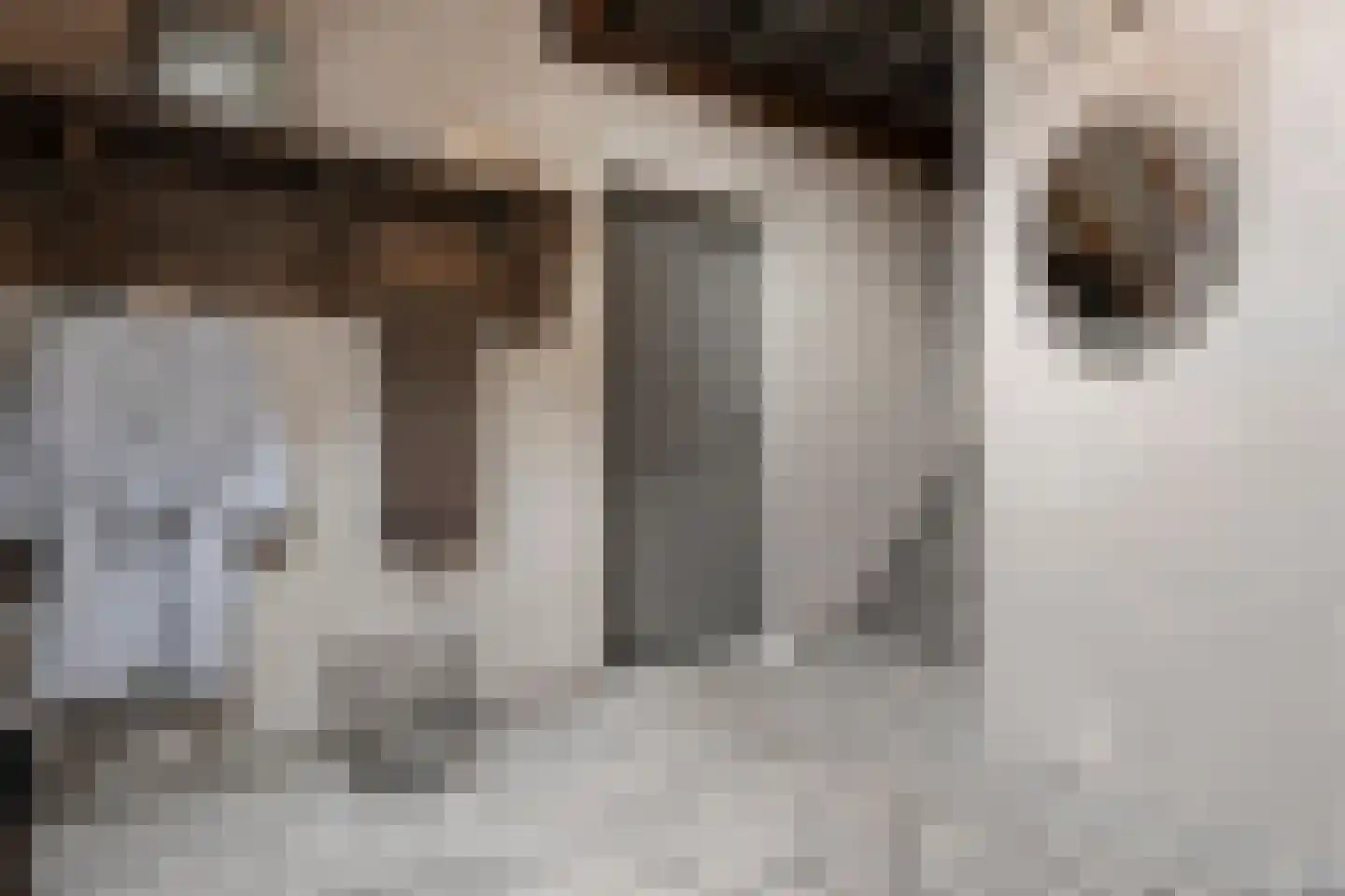 Westerstraat 55 Ruinen thumbnail 63