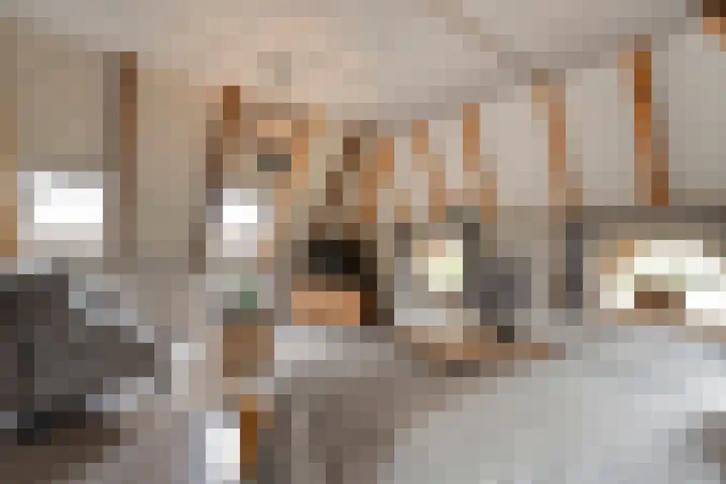 Westerstraat 55 Ruinen thumbnail 69