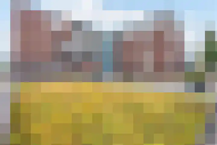 Westerstraat 56 Roden thumbnail 5