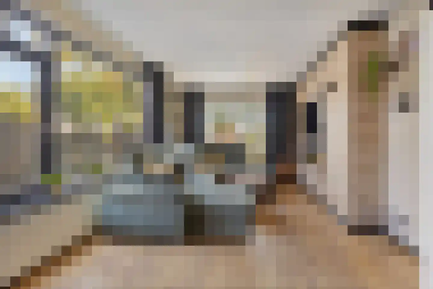 Westerstraat 6 Ter Apel thumbnail 11