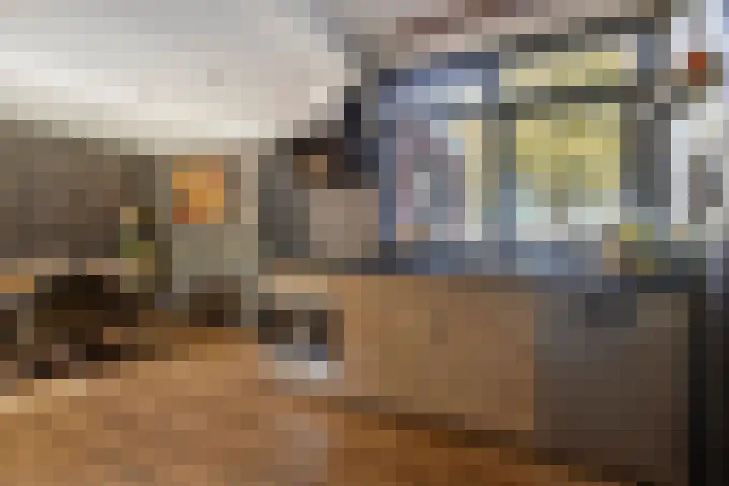 Westerstraat 6 Ter Apel thumbnail 17