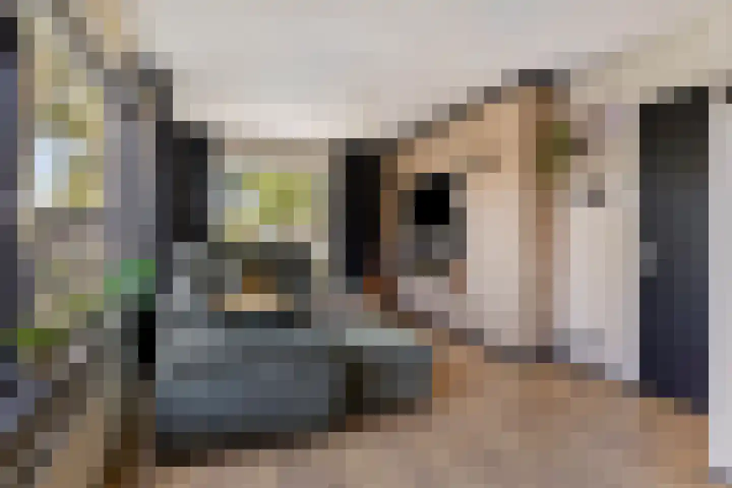 Westerstraat 6 Ter Apel thumbnail 19