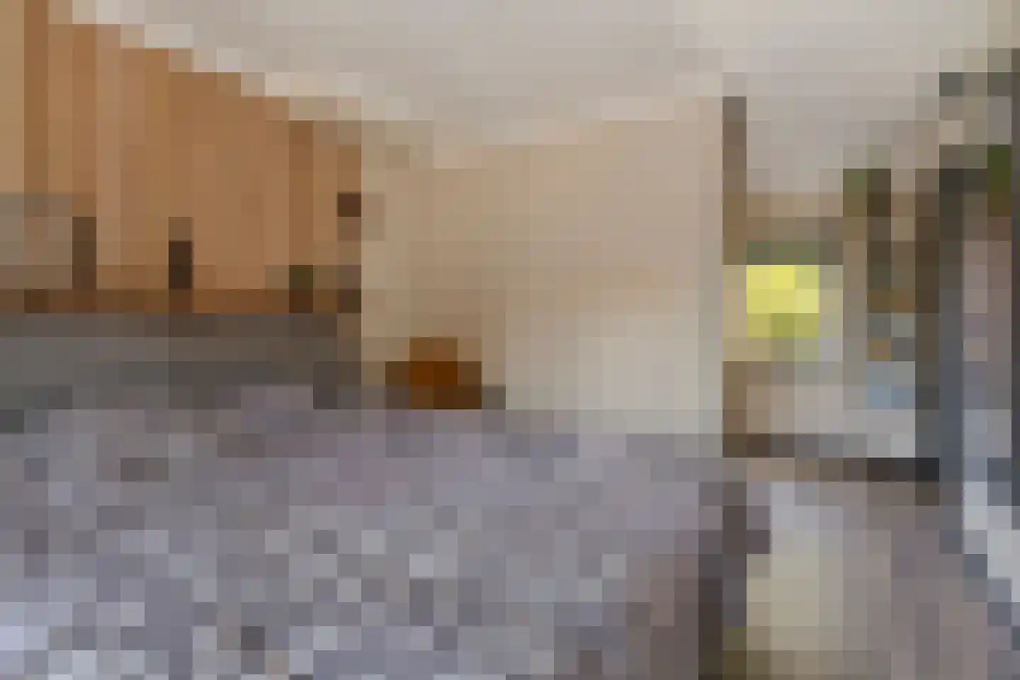 Westerstraat 6 Ter Apel thumbnail 27