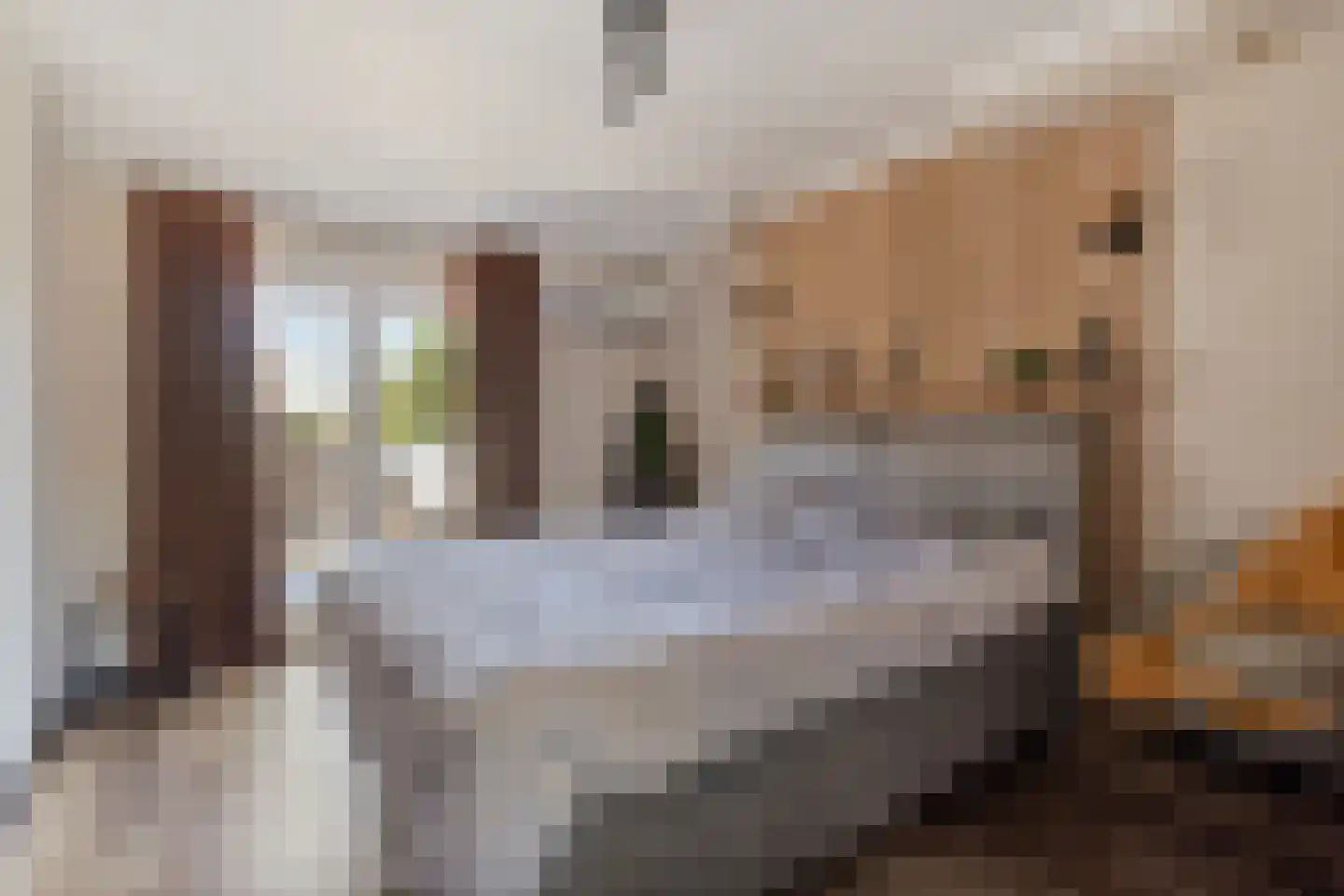 Westerstraat 6 Ter Apel thumbnail 29