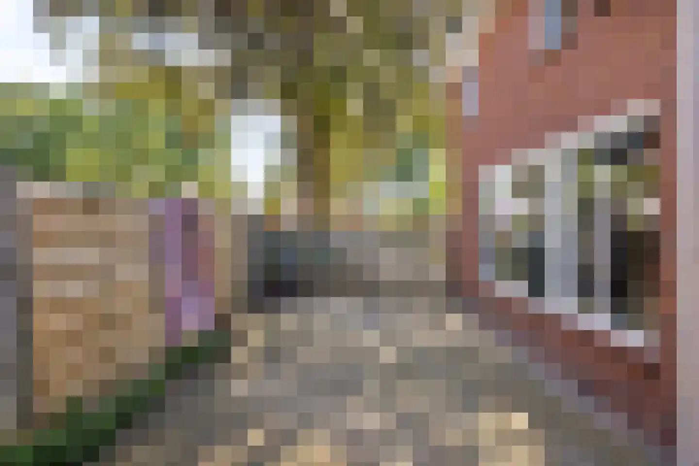 Westerstraat 6 Ter Apel thumbnail 37