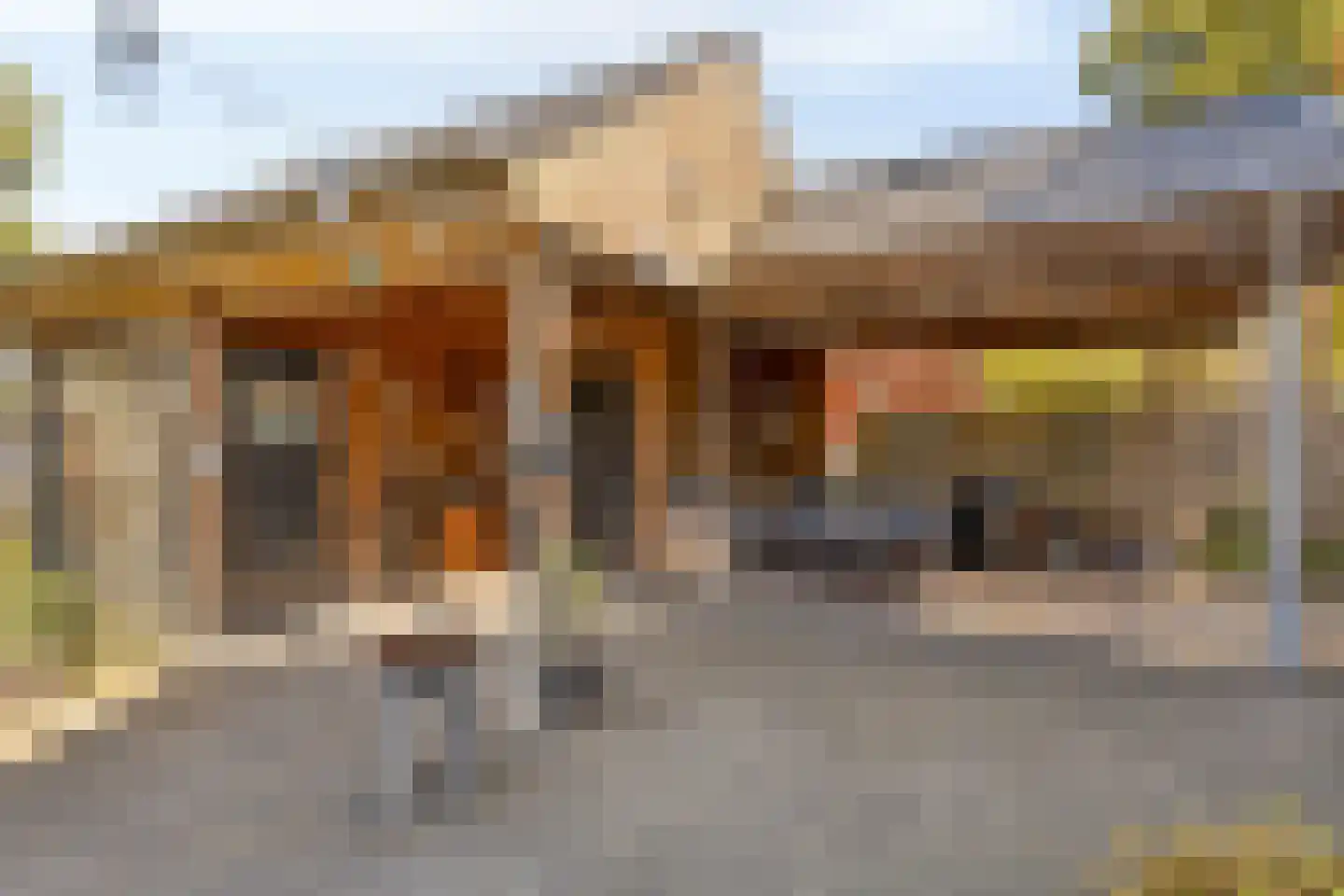 Westerstraat 6 Ter Apel thumbnail 4