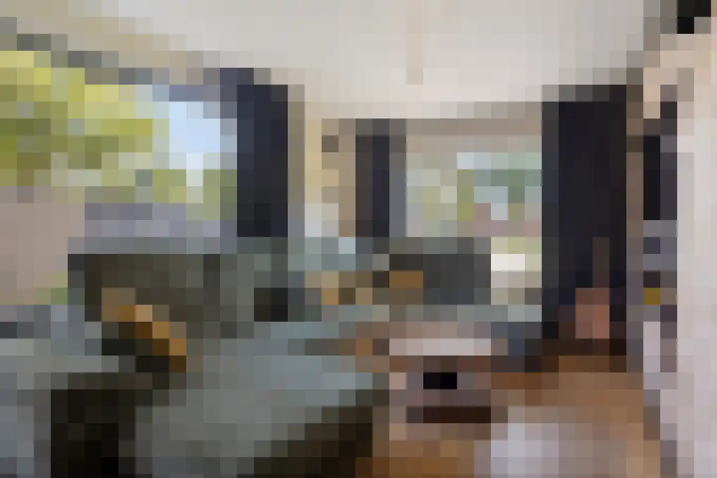 Westerstraat 6 Ter Apel thumbnail 7