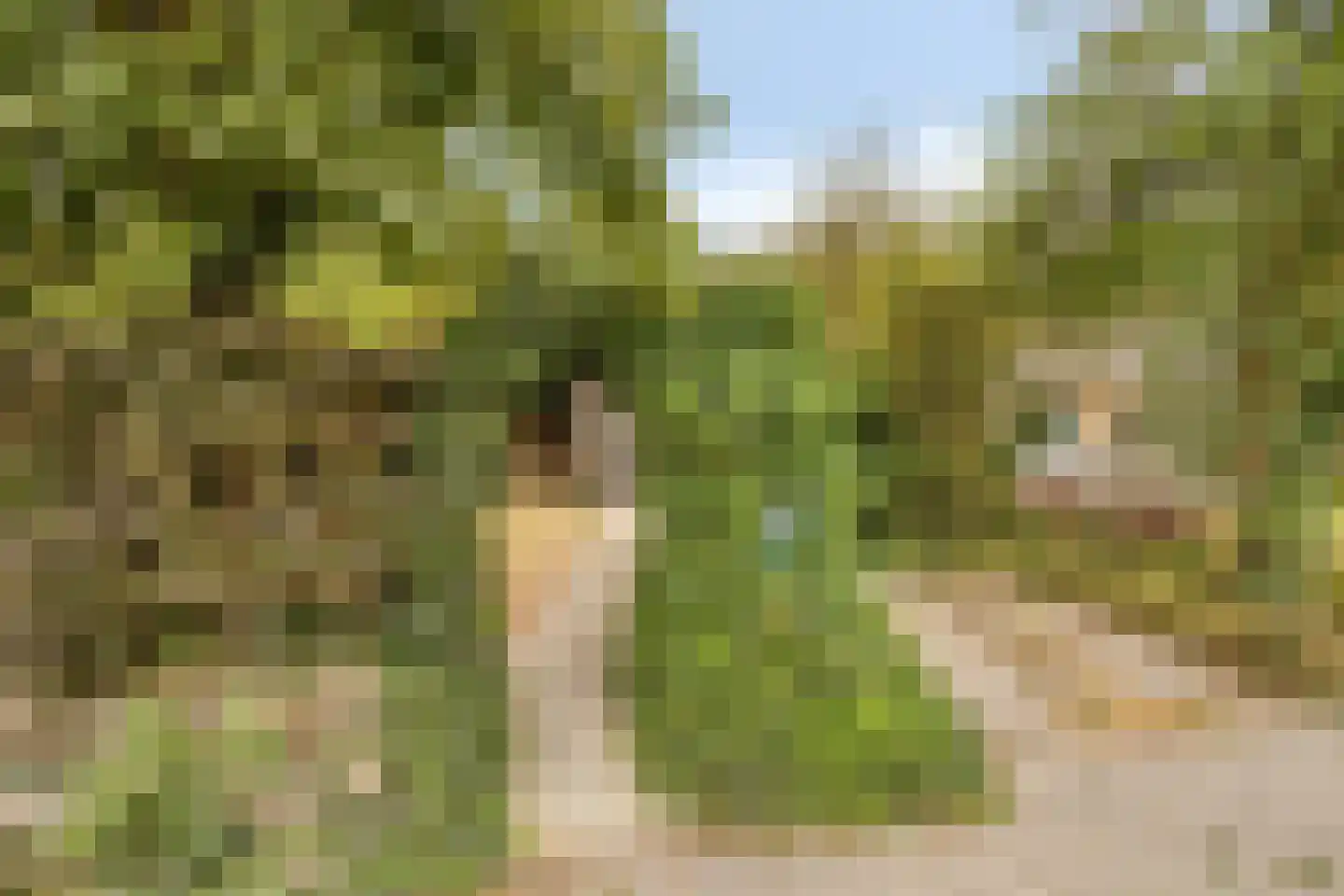 Westerstraat 60 Sijbekarspel thumbnail 5