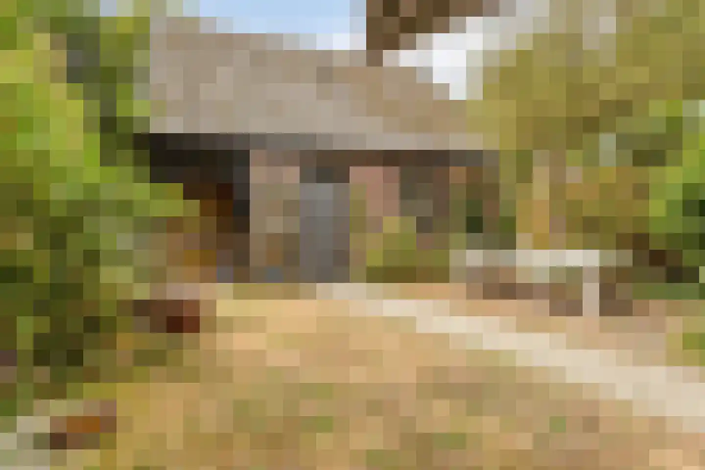 Westerstraat 60 Sijbekarspel thumbnail 6