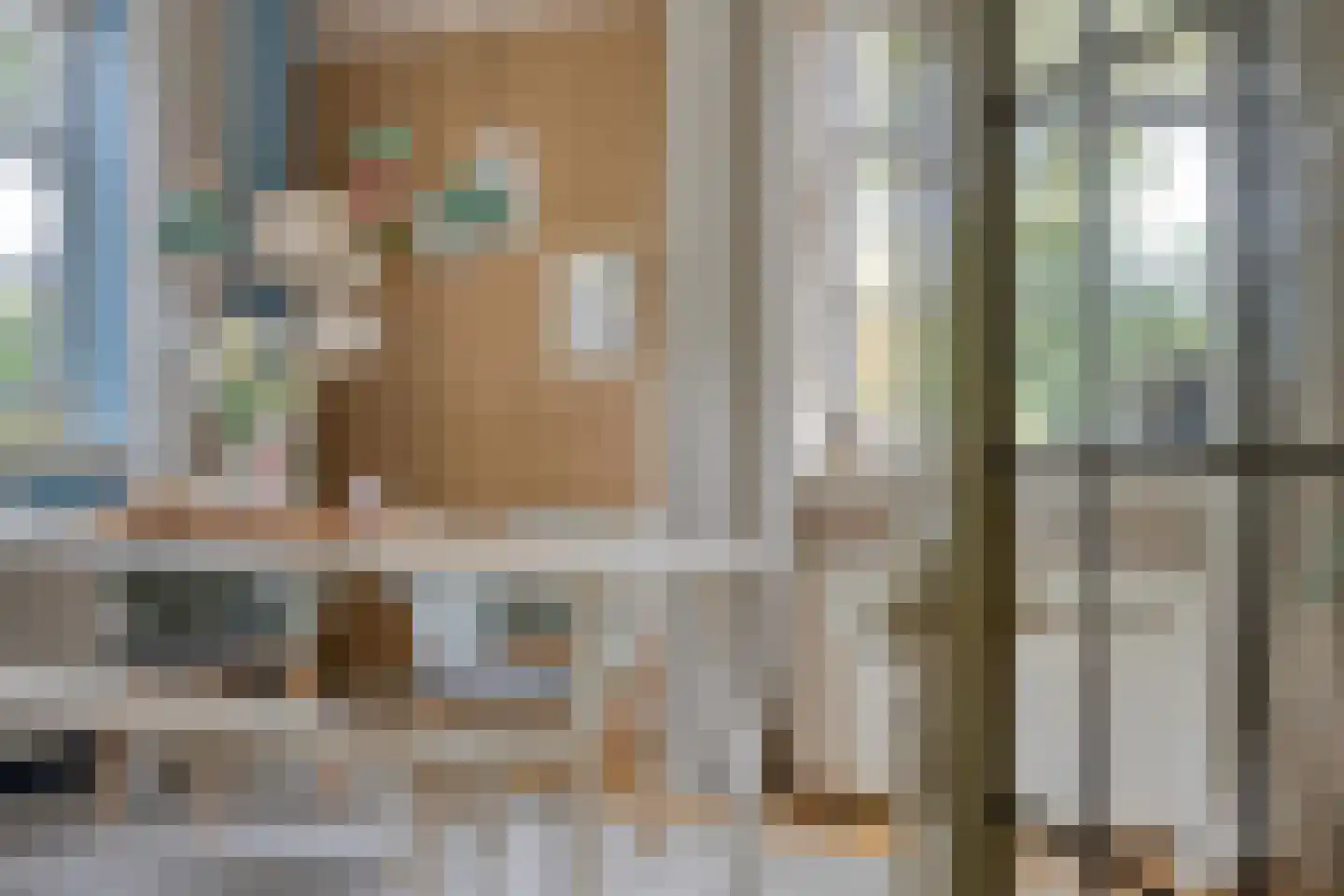 Westerstraat 60 Sijbekarspel thumbnail 7