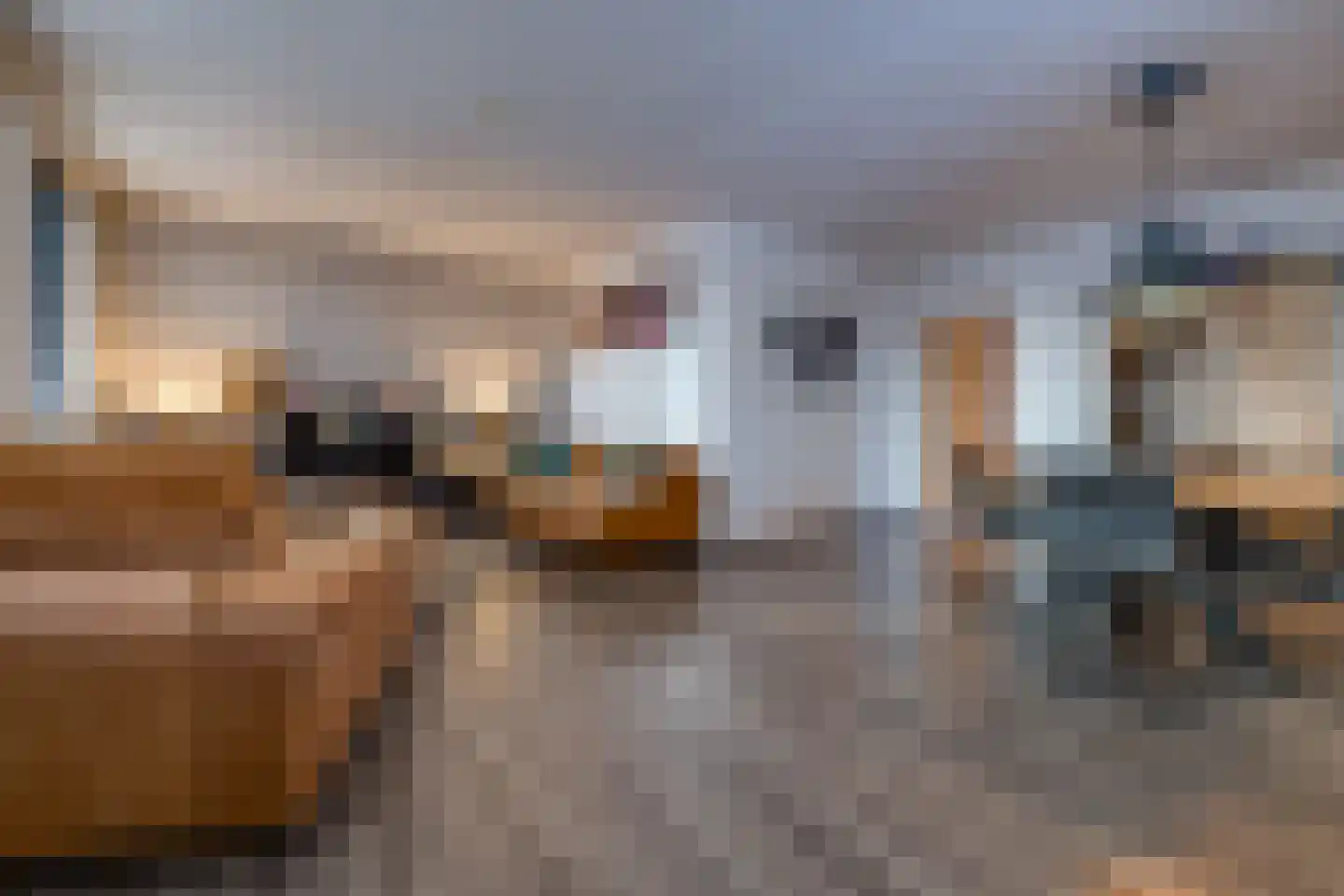 Westerstraat 67 Ter Apel thumbnail 20