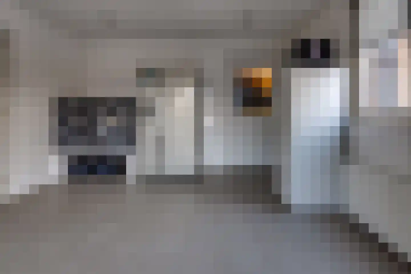 Westerstraat 67 Ter Apel thumbnail 35