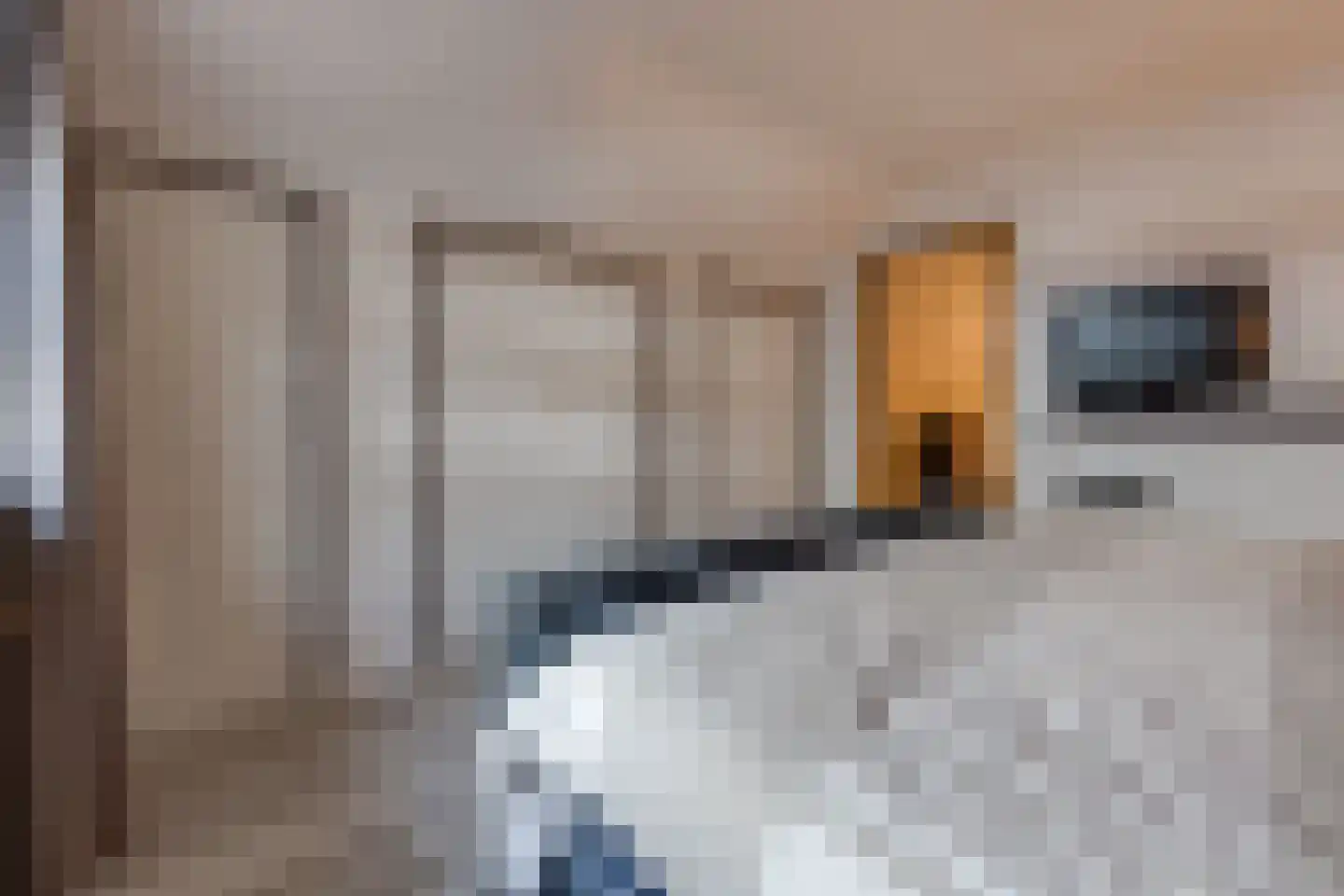 Westerstraat 67 Ter Apel thumbnail 50
