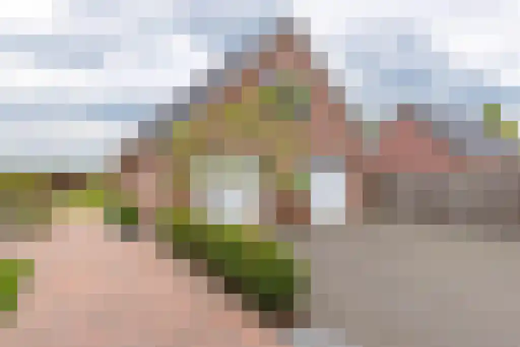 Westerstraat 67 Ter Apel thumbnail 52