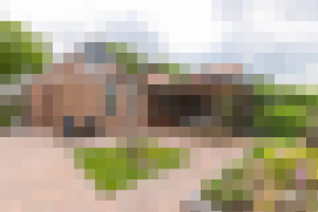 Westerstraat 67 Ter Apel thumbnail 60